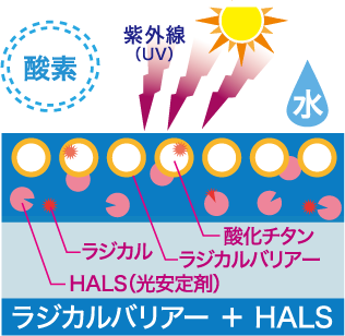 ラジカルバリアー + HALS