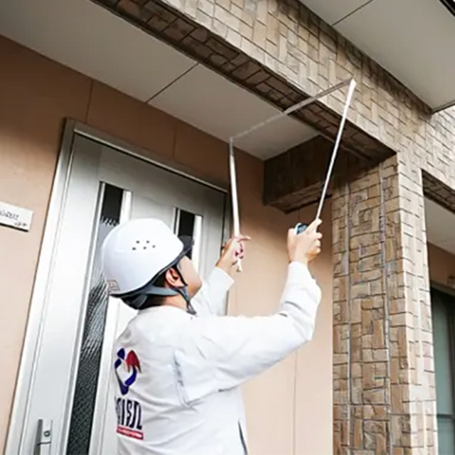 外壁の現地確認をしている様子